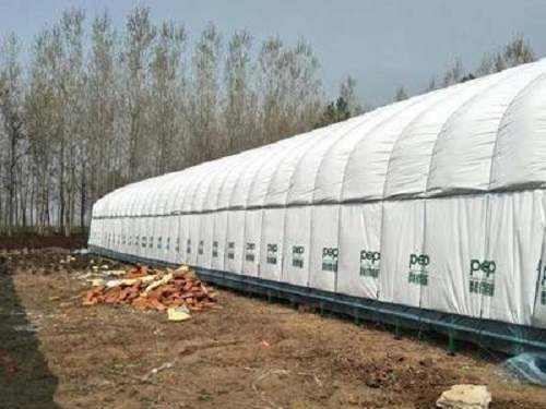 大棚安装工程 大棚安装工程