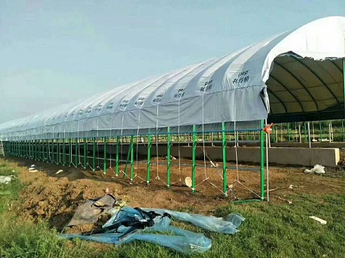 大棚安装工程 大棚安装工程